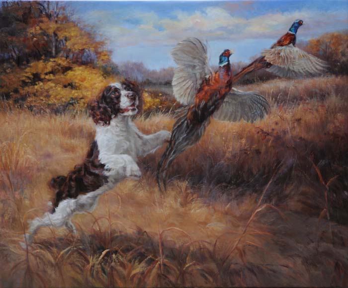 Artie flushing pheasants