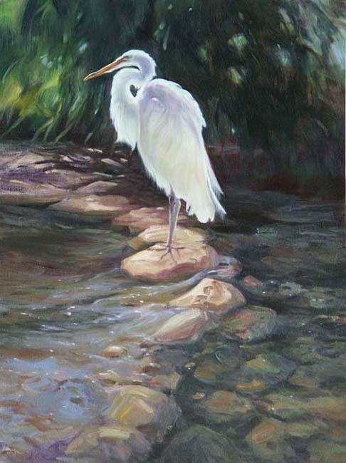 Great White Heron