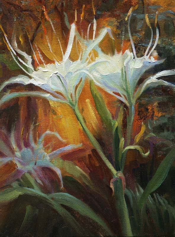 'Hememocalis I' (Wild Spider Lilies)