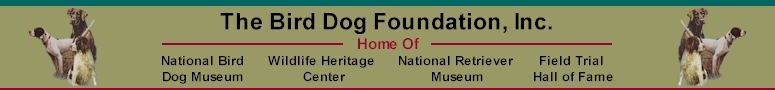 The National Bird Dog Foundation, Grand Junction, Tenn.