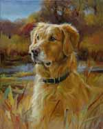 Chase-Golden Retrievr head-Artists Mag finalist