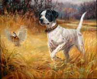 Pointer w/flushing quail